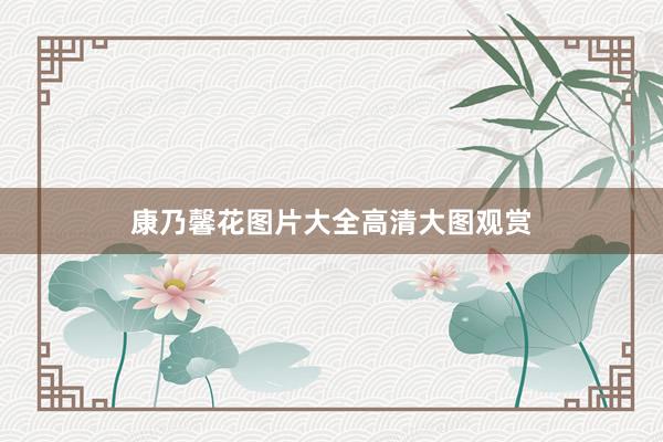 康乃馨花图片大全高清大图观赏