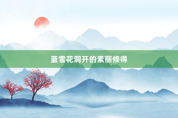 蓝雪花洞开的素丽倏得