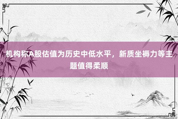 机构称A股估值为历史中低水平，新质坐褥力等主题值得柔顺