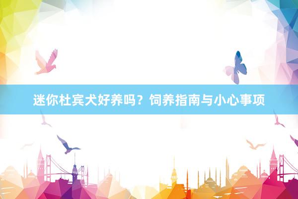迷你杜宾犬好养吗？饲养指南与小心事项