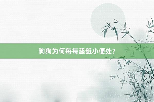 狗狗为何每每舔舐小便处？