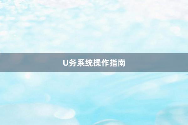 U务系统操作指南