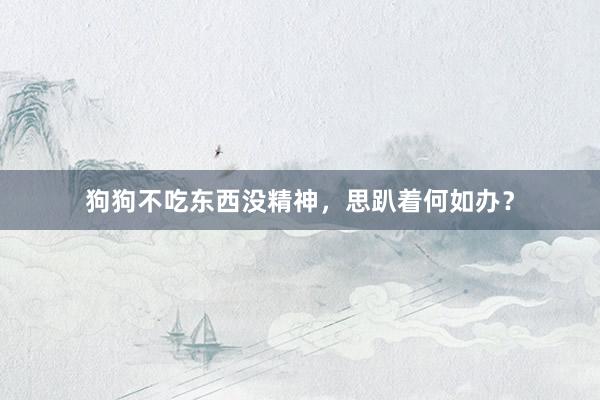 狗狗不吃东西没精神,思趴着何如办?